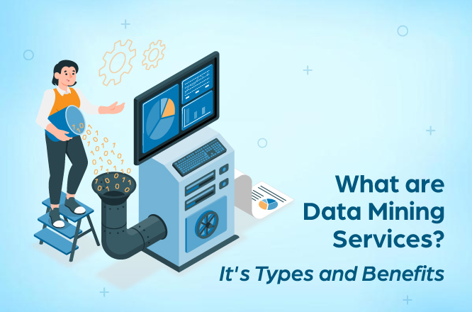 What are data mining services