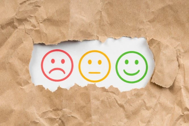 Customer Satisfaction Score