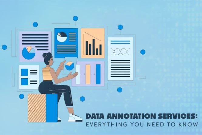 data annotation services